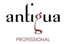 antigua_professional_logo_150